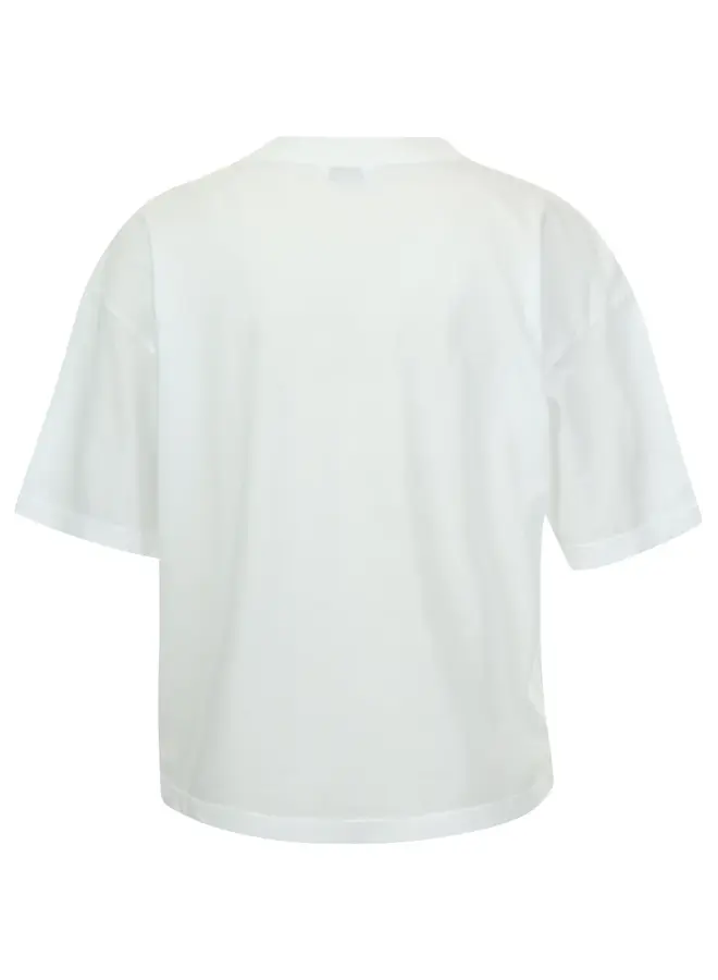 S26F1889LTD 01 Penn en Ink T-shirt print white