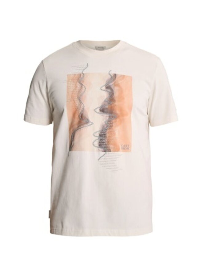 CTSS2608509 7555 Cast Iron Short sleeve r-neck regular fit peached jersey White Down