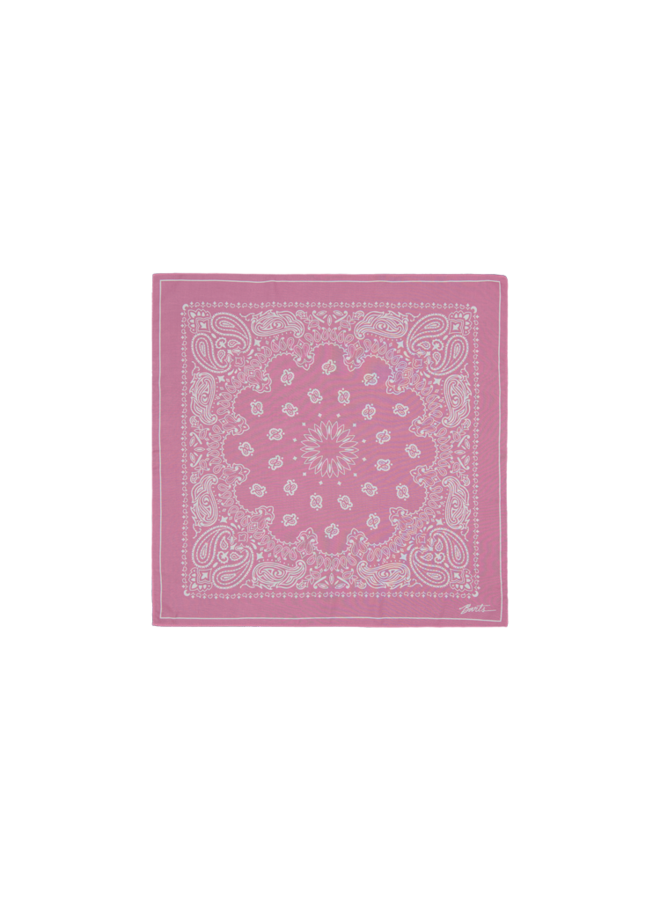 6917008 Barts Rigga Scarf pink