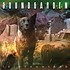 SOUNDGARDEN - TELEPHANTASM (CD)