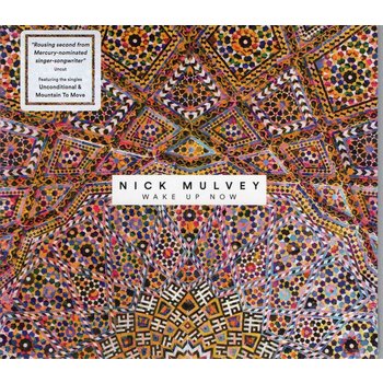 NICK MULVEY - WAKE UP NOW (CD)