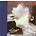 MOVING HEARTS - THE STORM (CD)...