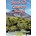 KEVIN PRENDERGAST - BACK TO COUNTY MAYO (DVD)...ci)