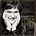 SUSAN BOYLE - I DREAMED A DREAM (CD)...