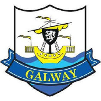 COUNTY GALWAY STICKER