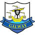 COUNTY GALWAY STICKER