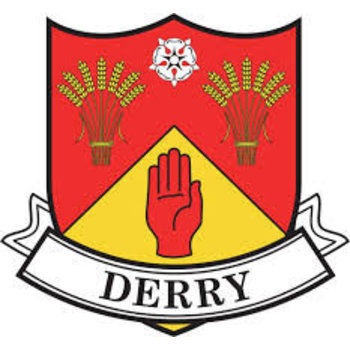 COUNTY DERRY STICKER