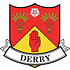 COUNTY DERRY STICKER