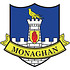 COUNTY MONAGHAN STICKER