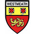 WESTMEATH COUNTY STICKER