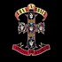 GUNS N' ROSES - APPETITE FOR DESTRUCTION (CD)