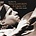 NILS LOFGREN & GRIN - THE BEST OF NILS LOFGREN & GRIN THE A&M YEARS (CD).