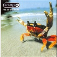 THE PRODIGY - THE FAT OF THE LAND (CD).