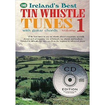 110 OF IRELAND'S BEST SLOW AIRS (BOOK)