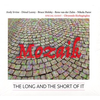 MOZAIK - THE LONG AND THE SHORT OF IT (CD)