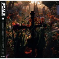 THE FOALS - EVERYTHING NOT SAVED WILL BE LOST PART 2 (CD)...