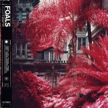 THE FOALS - EVERYTHING NOT SAVED WILL BE LOST PART 1 (CD)