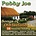 PADDY JOE - SONGS OF OLD IRELAND (CD)...