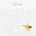 COLM MAC CON IOMAIRE - AND NOW THE WEATHER: AGUS ANOIS AN AIMSIR (CD)...
