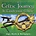 A CELTIC JOURNEY IN TRADITIONAL MUSIC - VARIOUS ARTISTS (CD)...