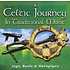 A CELTIC JOURNEY IN TRADITIONAL MUSIC - VARIOUS ARTISTS (CD)