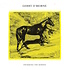 GERRY O'BEIRNE - SWIMMING THE HORSES (CD)