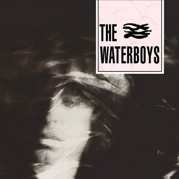 THE WATERBOYS - THE WATERBOYS (CD)