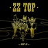 ZZ TOP - GOIN' 50 (3 CD Set)