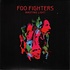 FOO FIGHTERS - WASTING LIGHT  (CD)