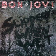 BON JOVI - SLIPPERY WHEN WET (CD).