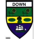 COUNTY DOWN STICKER