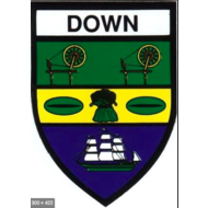 DOWN COUNTY STICKER
