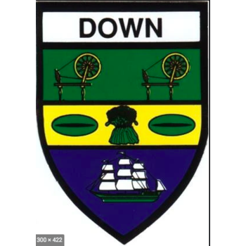 DOWN COUNTY STICKER