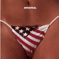 THE BLACK CROWES - AMORICA (CD).