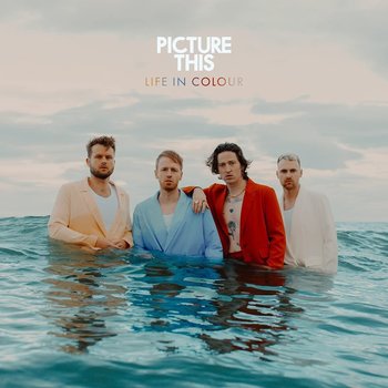 PICTURE THIS - LIFE OF COLOUR (CD)