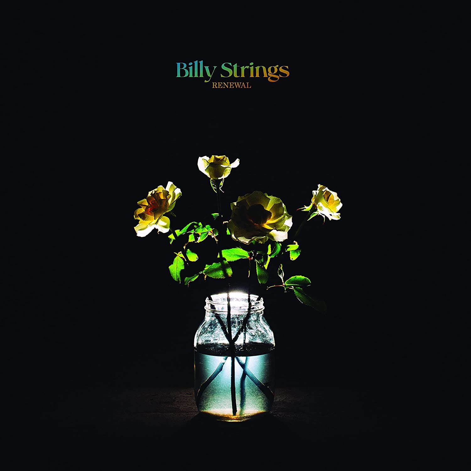 Billy Strings Renewal LP CDWorld.ie