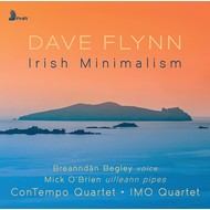 DAVE FLYNN - IRISH MINIMALISM (CD).. )