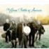 THE GREEN FIELDS OF AMERICA (CD)