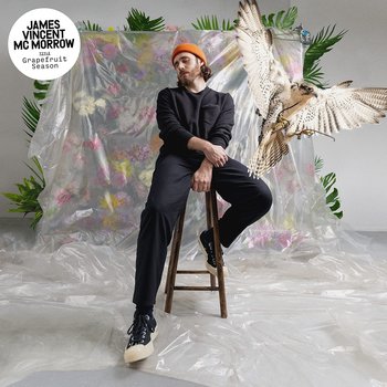 JAMES VINCENT MCMORROW - GRAPEFRUIT SEASON (CD)