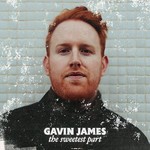 GAVIN JAMES - THE SWEETEST PART (Vinyl LP).