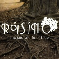 RÓISÍN O - THE SECRET LIFE OF BLUE (CD)...