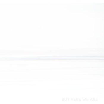 FOO FIGHTERS - BUT HERE WE ARE (CD)