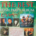 THE BEST IRISH PARTY ALBUM EVER CD - VARIOUS ARTISTS