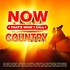 NOW THAT'S WHAT I CALL COUNTRY - VARIOUS ARTISTS (CD)