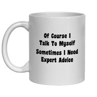 FUNNY NOVELTY MUG - OF COURSE I TALK TO MYSELF SOMETIMES I NEED EXPERT ADVICE