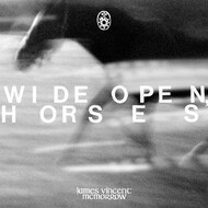 JAMES VINCENT MCMORROW - WIDE OPEN HORSES (Vinyl LP).