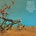 MOLLY TUTTLE & GOLDEN HIGHWAY - CROOKED TREE (Vinyl LP).