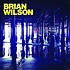 BRIAN WILSON - NO PIER PRESSURE (CD).