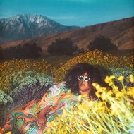 BRITTANY HOWARD - WHAT NOW (Vinyl LP).