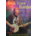 THE COMPLETE GUIDE TO LEARNING THE IRISH BANJO (BOOK)